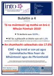 2018-19: Bulletin 4 Teachers Have been Feeling the Squeeze: Irish Version